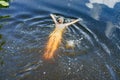 A bather girl in a lake, a girl swims on a river