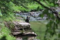 Bathing Bear