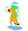 Bathing dog. Cute dog takes a shower