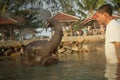 Bathing elephants in the Gulf of Siam