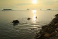 Bathing elephants in the Sea in Thailand