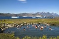 Greenland, Bathing in Hot Spring in Beautiful Landscape with Icebergs and Mountains