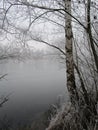 Bathing Lake of Perach in the winter
