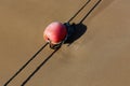 Rope with floats on the seashore