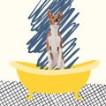 Contemporary art collage of cute, dog standing in bath isolated over white background