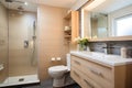 Bathroom Adapted for People with Disabilities, Safety Toilet for Elderly People, Adapted Interior Design