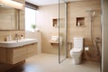 Bathroom Adapted for People with Disabilities, Safety Toilet for Elderly People, Adapted Interior Design