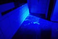 Bathroom as place of crime in UV light Royalty Free Stock Photo