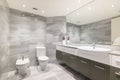 Bathroom with bidet toilet and washbasin under large mirror Royalty Free Stock Photo