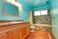 Bathroom in bright blue color with green tile wall trim