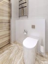 Bathroom contemporary style Royalty Free Stock Photo