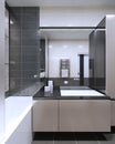 Bathroom contemporary style Royalty Free Stock Photo