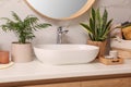 Bathroom counter with sink, candles and beautiful green houseplants near white marble wall