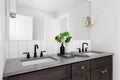 A bathroom with a dark wood cabinet and shiplap wall. Royalty Free Stock Photo