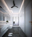 Bathroom design ,interior of Modern luxury style