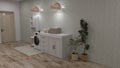 Bathroom design, washing machine 3d render apartment room decoration