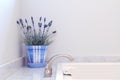 Bathroom Elegance Royalty Free Stock Photo