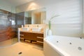 Bathroom ensuite Royalty Free Stock Photo