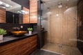 Bathroom with fancy shower Royalty Free Stock Photo