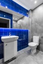 Bathroom in grey and blue colors