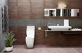 Bathroom interior Royalty Free Stock Photo