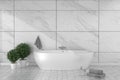 Bathroom interior bathtub in ceramic tile floor on granite tiles wall background - empty white concept. 3d rendering,mock up