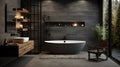 Bathroom interior design with matte black bath and modern shower. Royalty Free Stock Photo