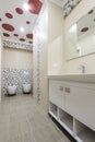 Bathroom interior, locker with mirror, toilet and bidet