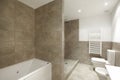 Bathroom interior with marble brown walls