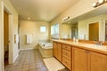 Bathroom interior with vanity cabinet, big mirror and white bath tub Royalty Free Stock Photo