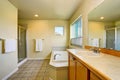 Bathroom interior with vanity cabinet, big mirror and white bath tub Royalty Free Stock Photo