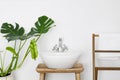 Bathroom interior with white sink, towel hanger and green plant Royalty Free Stock Photo