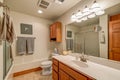 Bathroom with large vanity sink and dark wood cabinets, shower and toilet, great towels