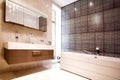 Bathroom with Mirror and tub Royalty Free Stock Photo