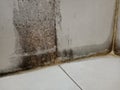 Bathroom and mold Royalty Free Stock Photo