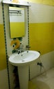 Bathroom Mirror in yellow color IND