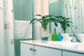 Bathroom with plant Royalty Free Stock Photo
