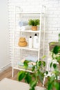 Bathroom shelves with towels and laundry detergents