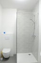Bathroom with shower and toilet