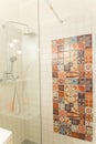 Bathroom shower, white walls and colors