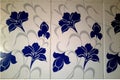 Bathroom Tiles with Floral Design