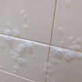 Bathroom Tiles With Soap Scum Suds on them. AI Image