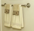 Bathroom Towel Rack Royalty Free Stock Photo