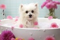 A bathroom transformed into a doggy spa, where dogs luxuriate in a serene and calming atmosphere