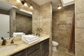 Bathroom with skylight Royalty Free Stock Photo