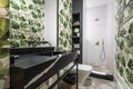 Bathrooms with one-piece black marble sinks with white veining