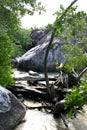 The Baths beach Virgin Gorda