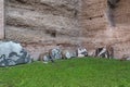 Baths of Caracalla in Rome, Italy Royalty Free Stock Photo