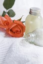 Bathsalt and shower gel Royalty Free Stock Photo