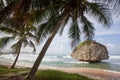 Bathsheba